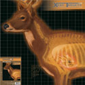 Champion X-Ray Paper Targets, Deer, 25x25  - 6pk