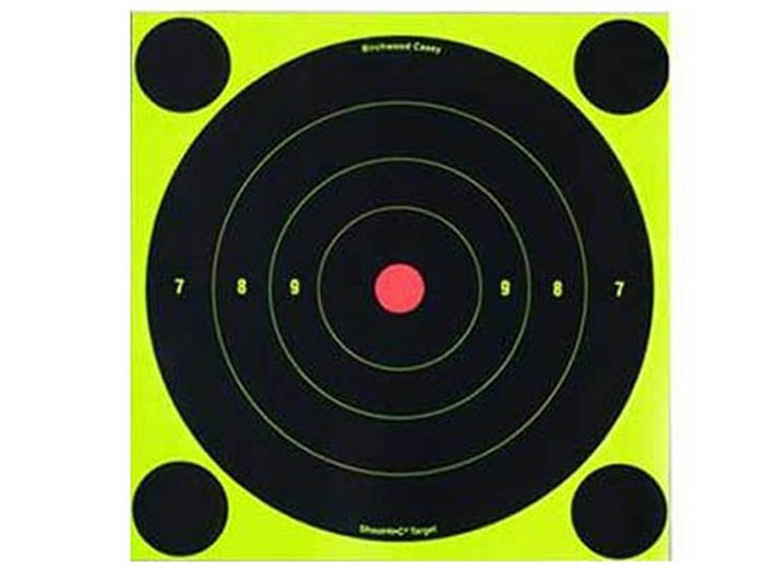 Birchwood Casey Shoot-N-C Targets, 8" Bullseye, 6 Targets   24 Pasters